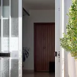 Casa Odra Apartman *